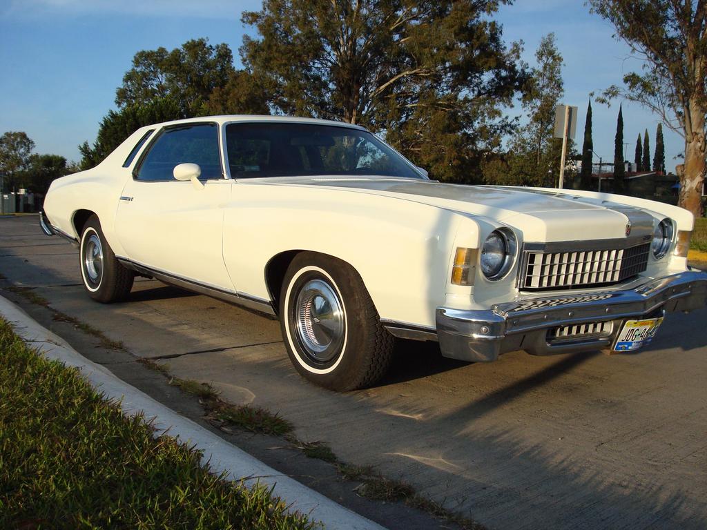 Chevrolet Monte Carlo 1974 #2