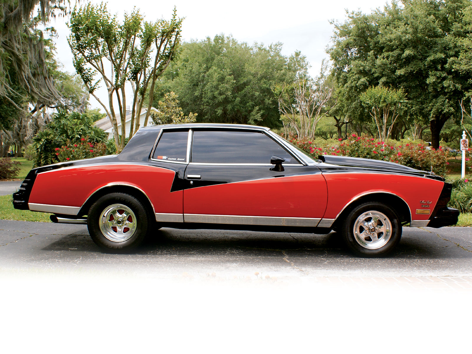Chevrolet Monte Carlo 1980 #10