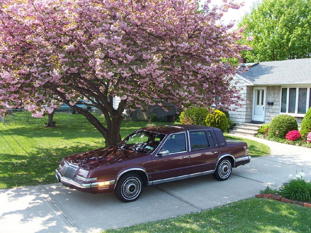 Chrysler Imperial 1991 #11