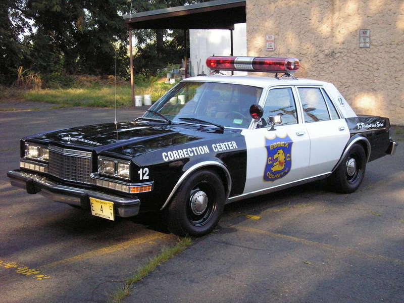 Dodge Diplomat 1983 #6