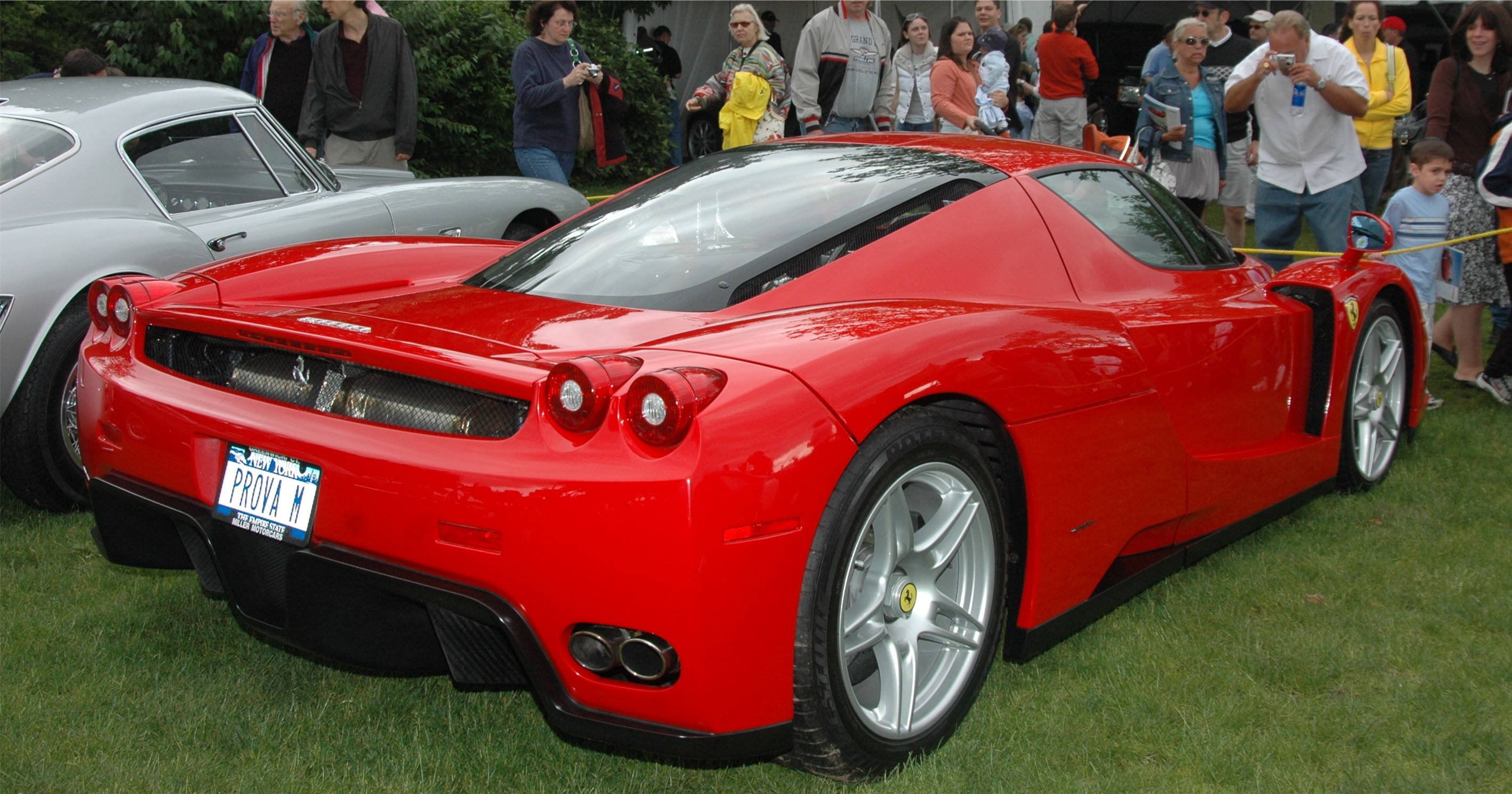 Ferrari Enzo #10
