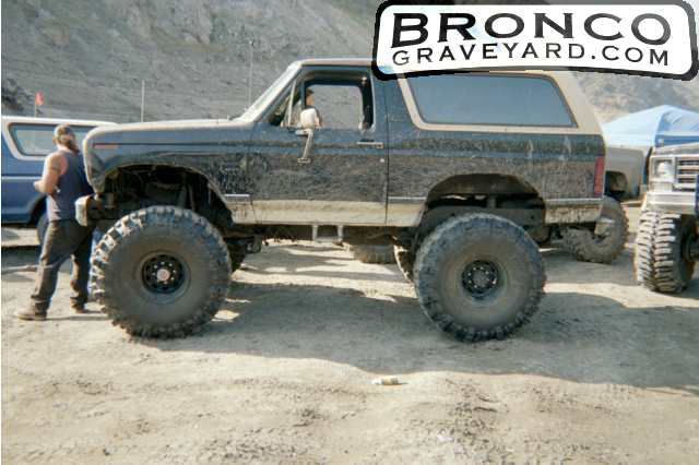 Ford Bronco 1983 #13
