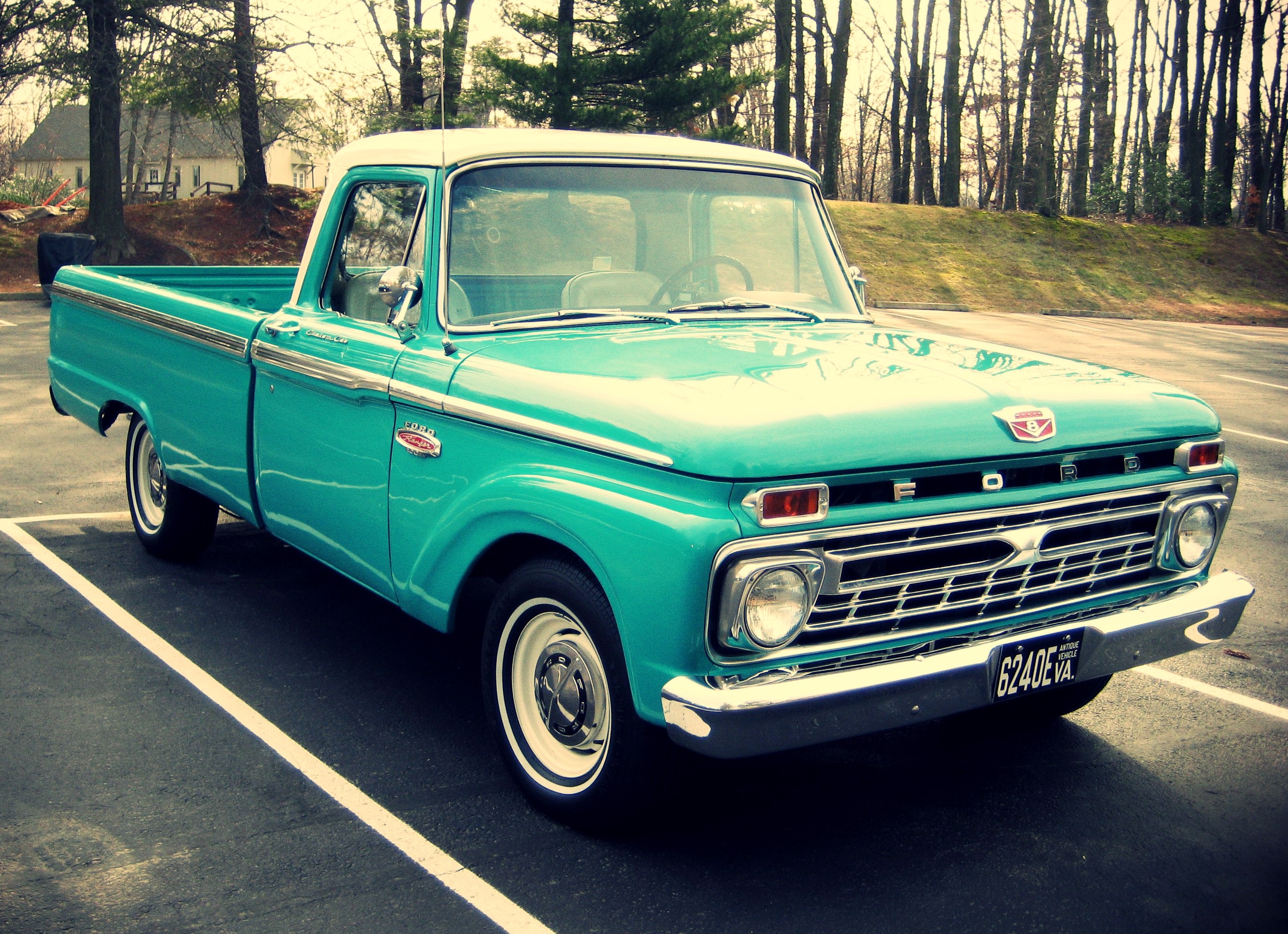 Ford F100 1966 #6