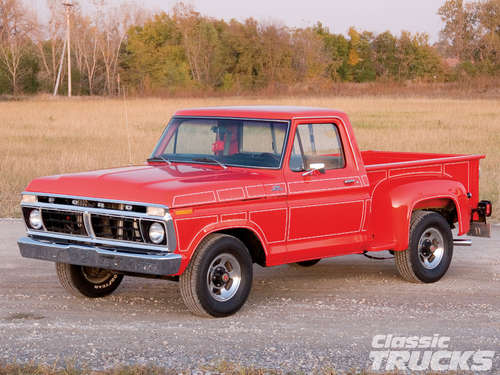 Ford F100 1977 #6