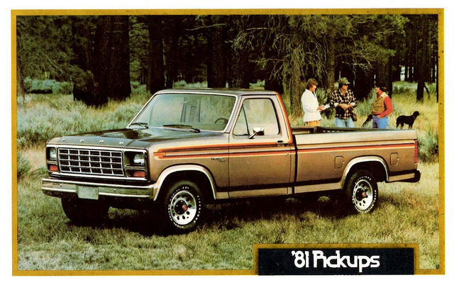 Ford F100 1981 #3