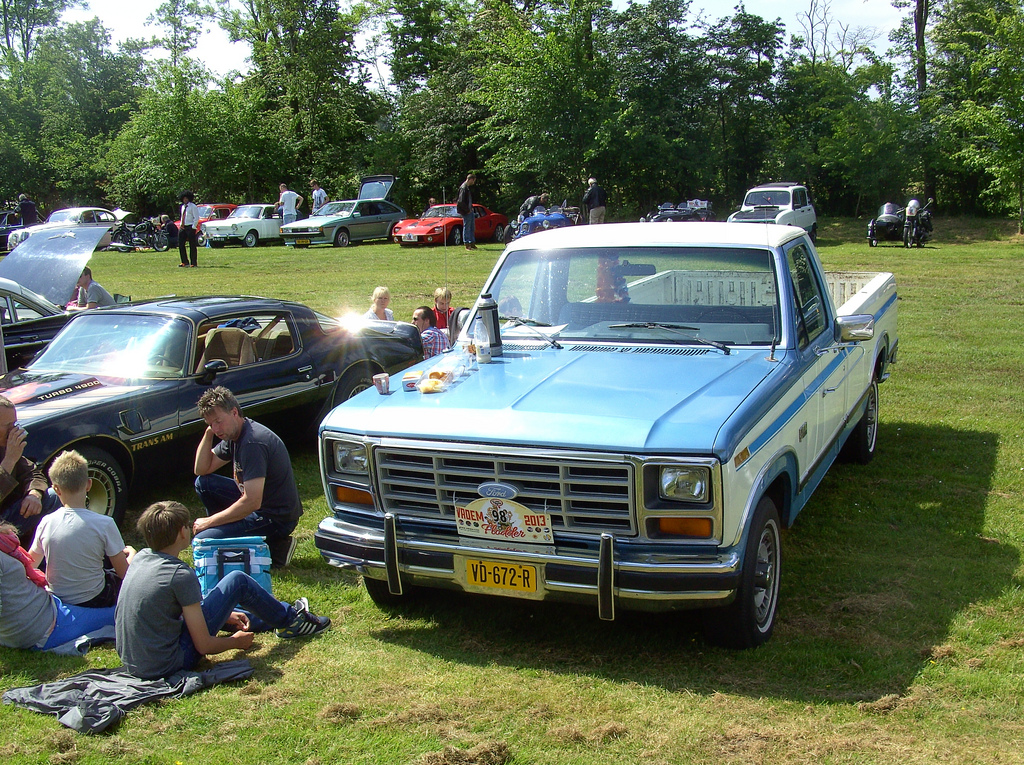 Ford F100 1983 #14