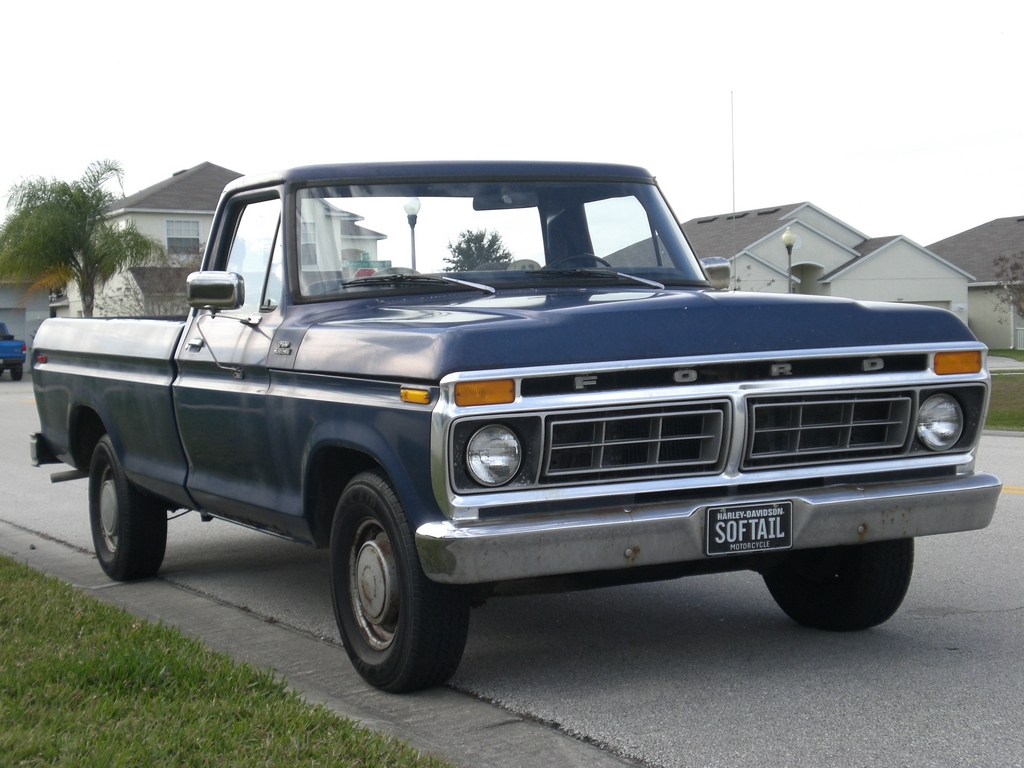 Ford F150 1977 #14