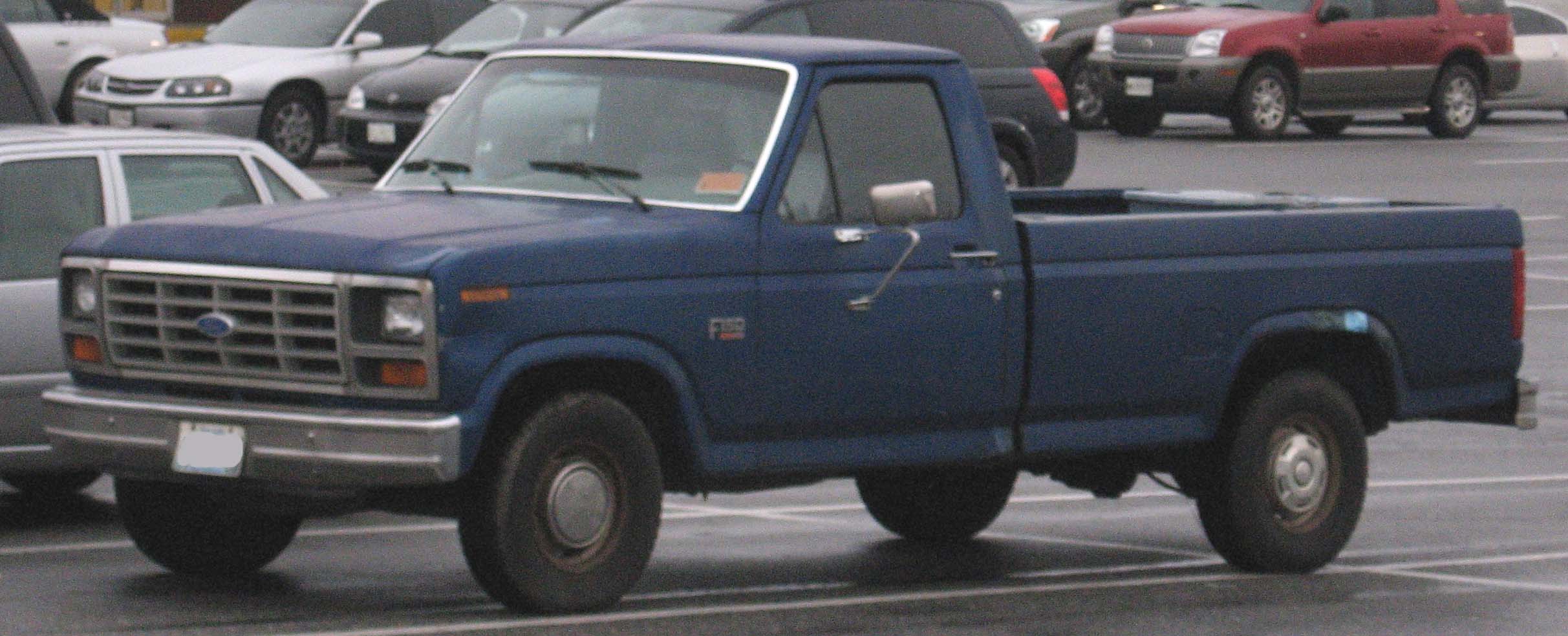 Ford F150 1980 #6