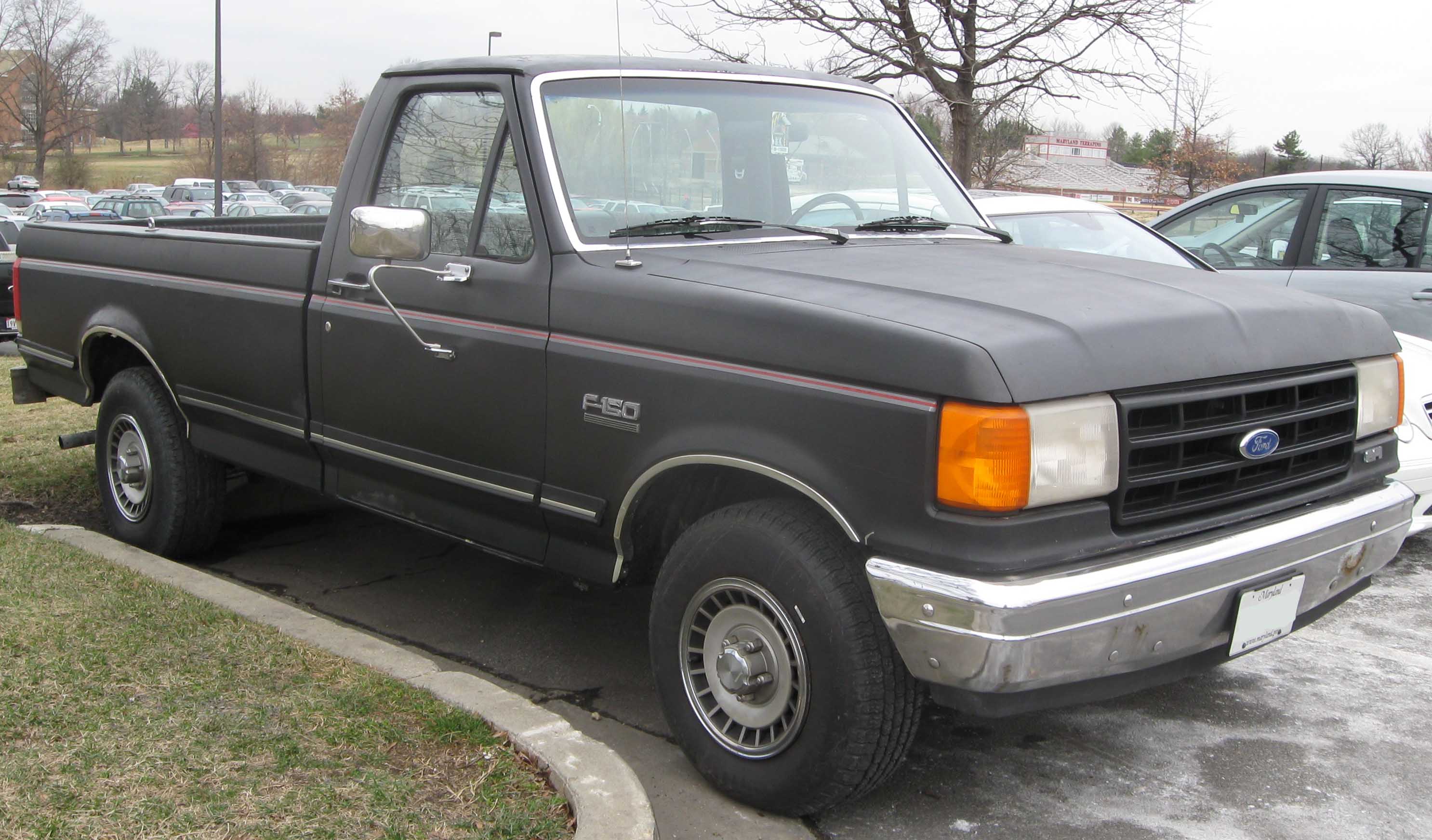 Ford F-150 1991 #3