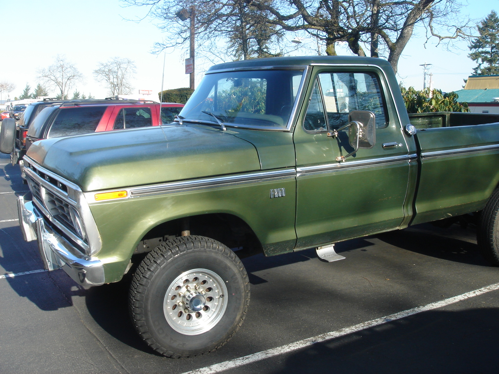 Ford F250 1975 #3