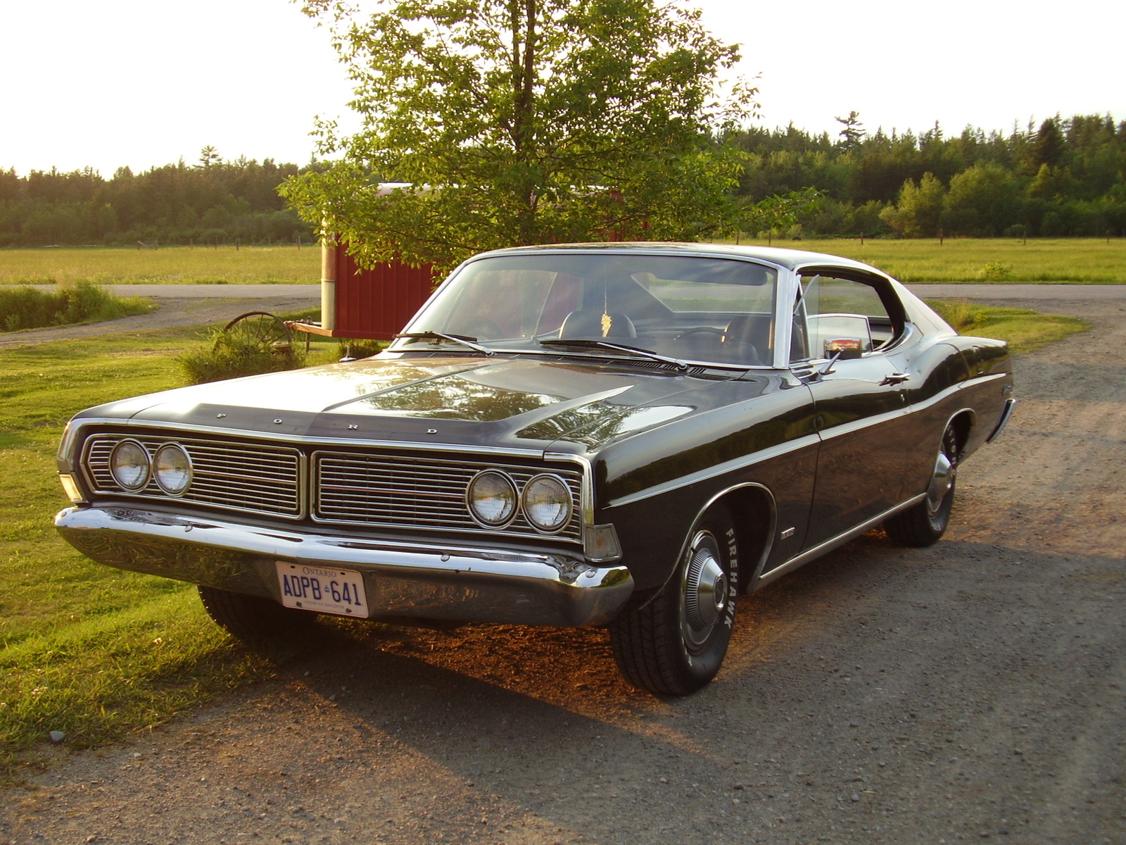 Ford Galaxie Special #14