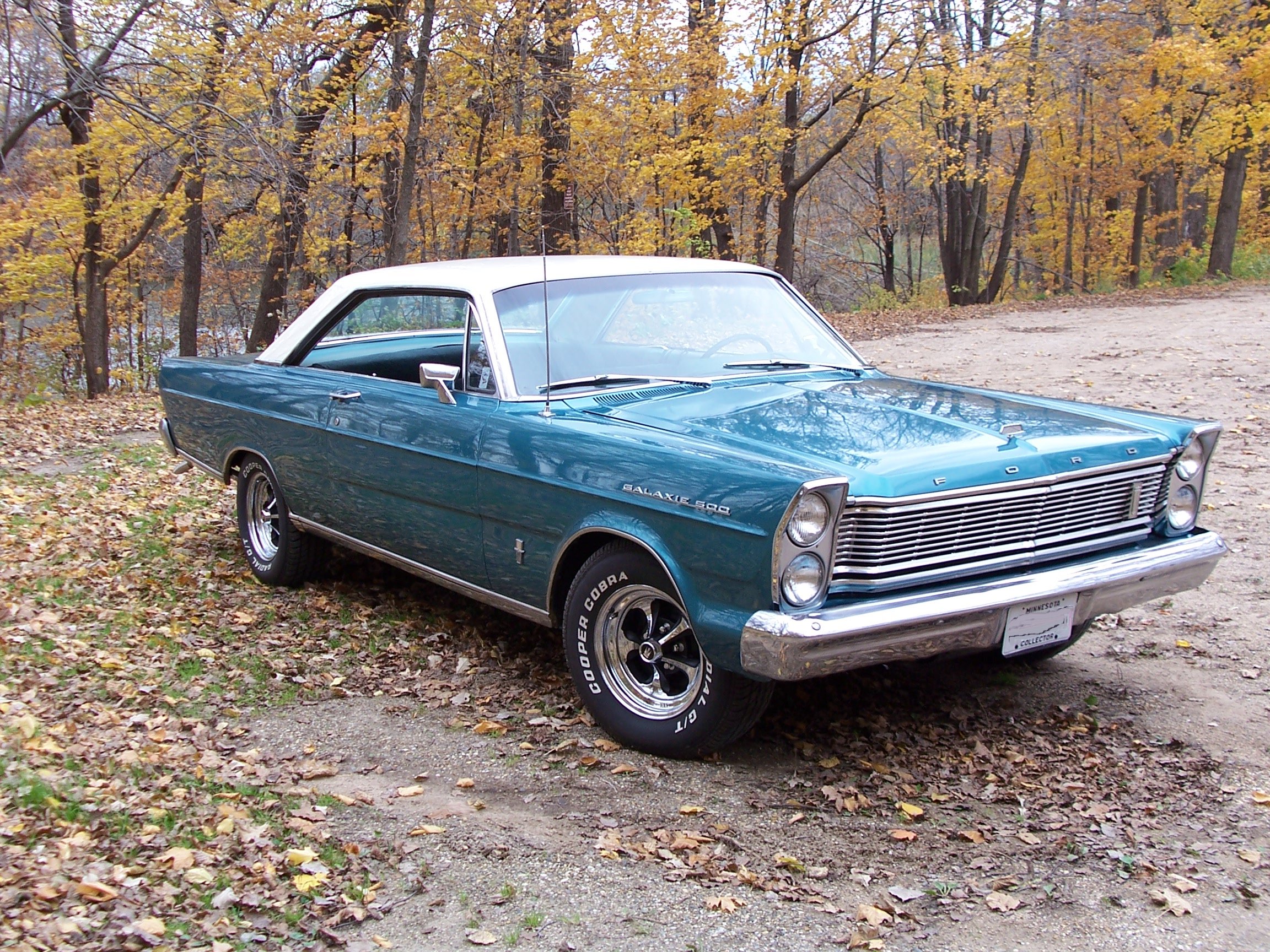 Ford Galaxie Special #7