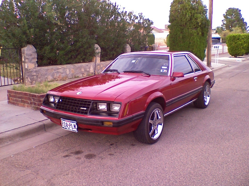 Ford Mustang 1981 #1