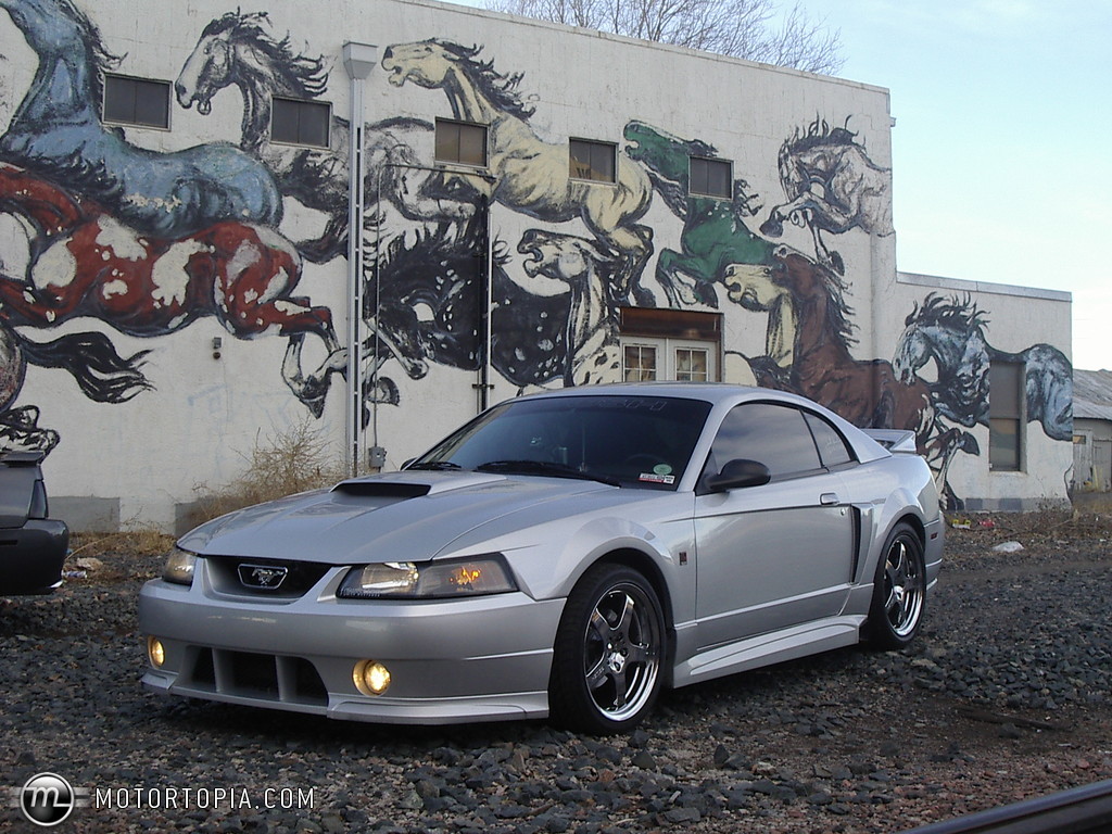 Ford Mustang 2004 #2