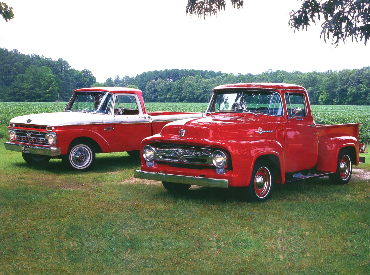 Ford Pickup 1966 #12