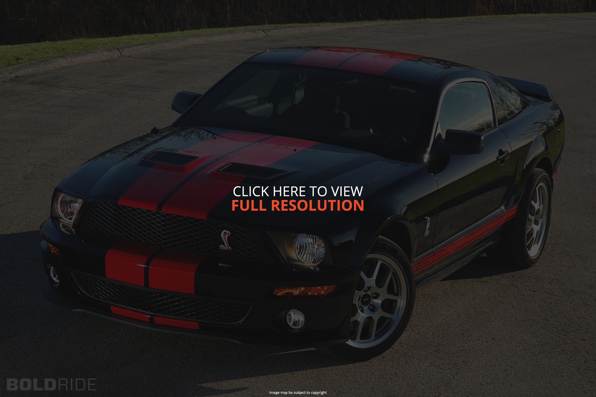 Ford Shelby GT500 2007 #8