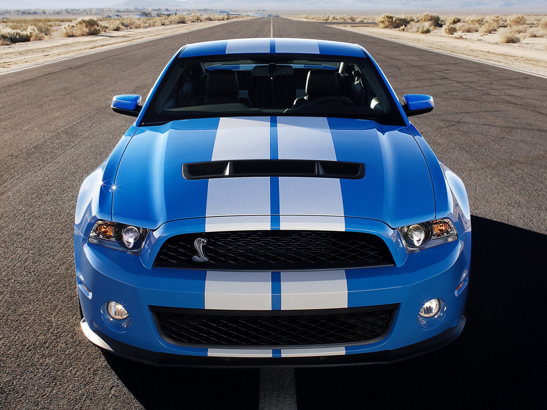 Ford Shelby GT500 2011 #3