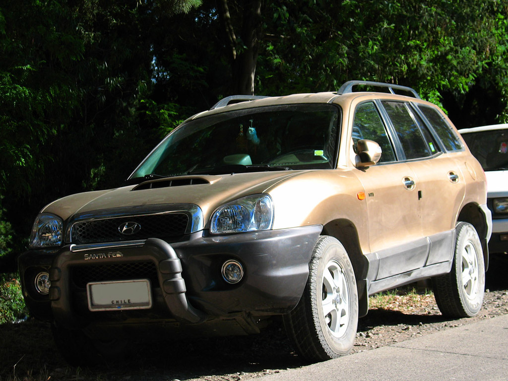 Hyundai Santa Fe 2001 #12