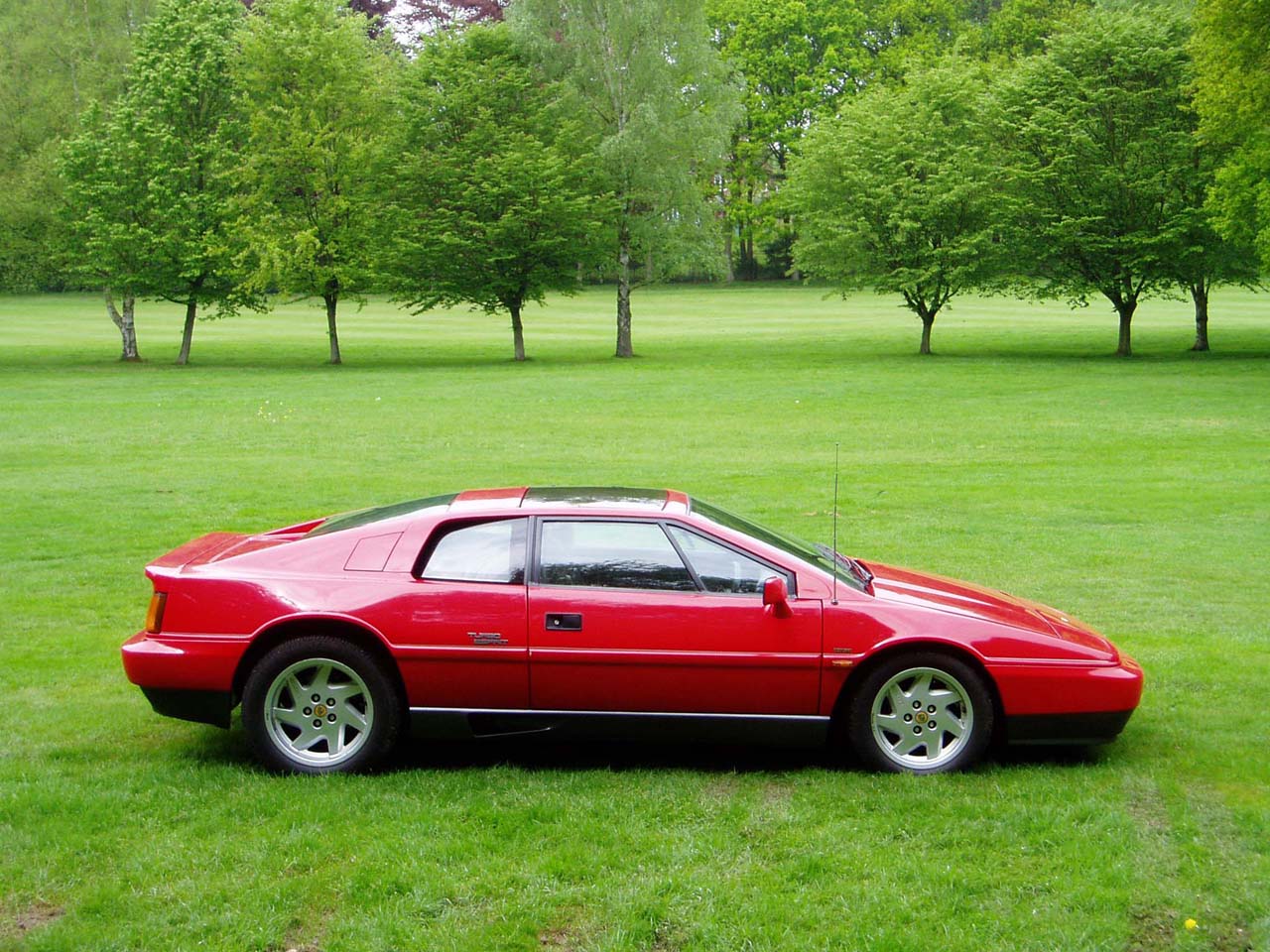 Lotus Esprit 1988 #2