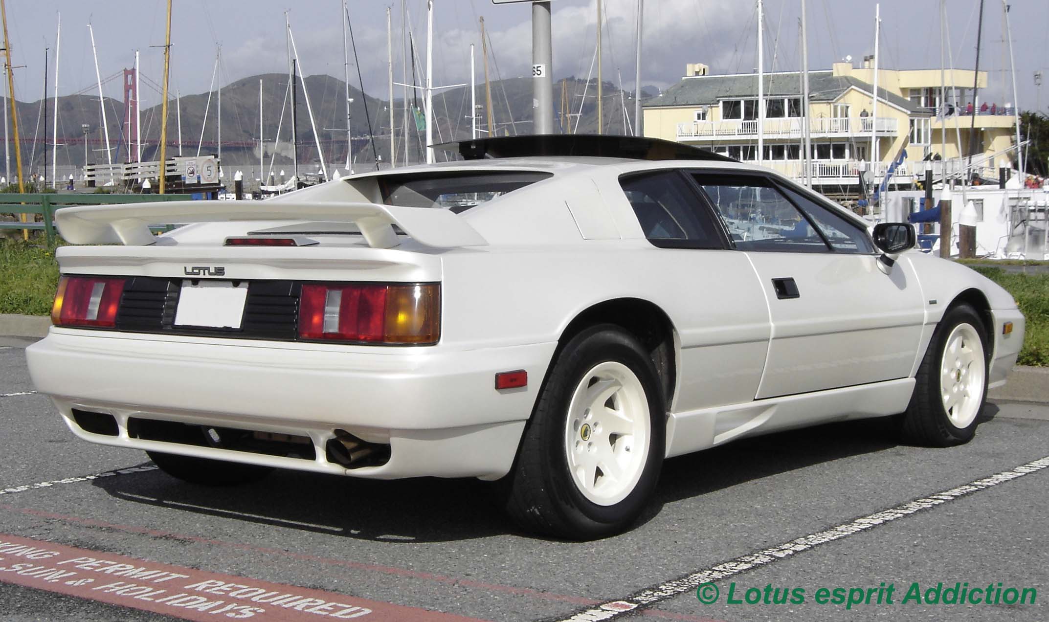 Lotus Esprit 1988 #6