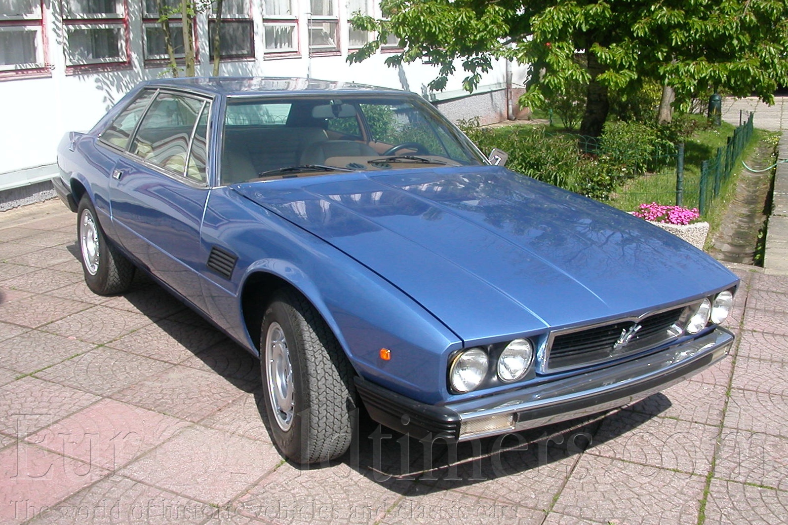 Maserati Kyalami 1977 #4