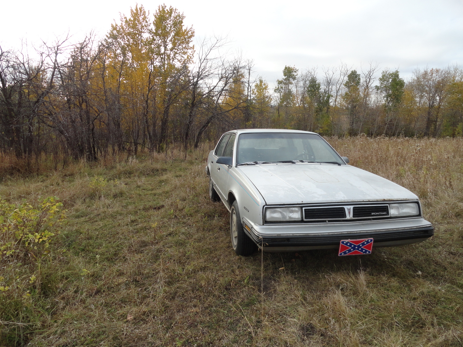 Pontiac 6000 1988 #9