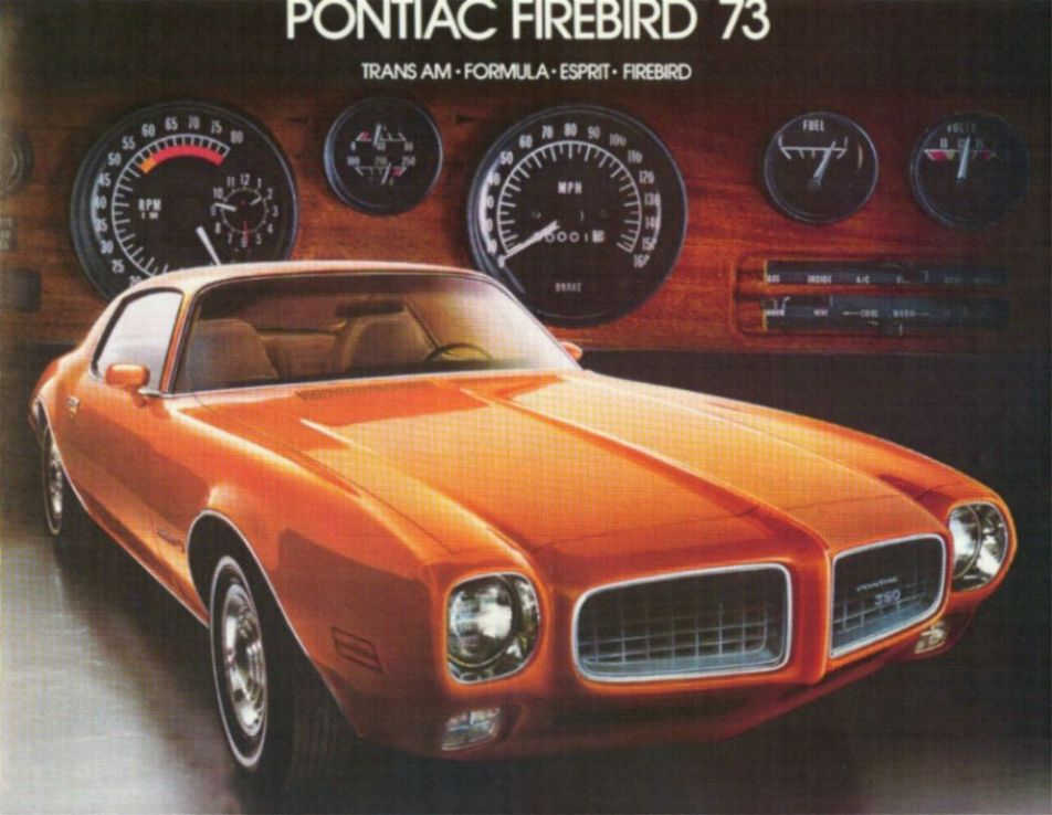 Pontiac Firebird 1973 #4