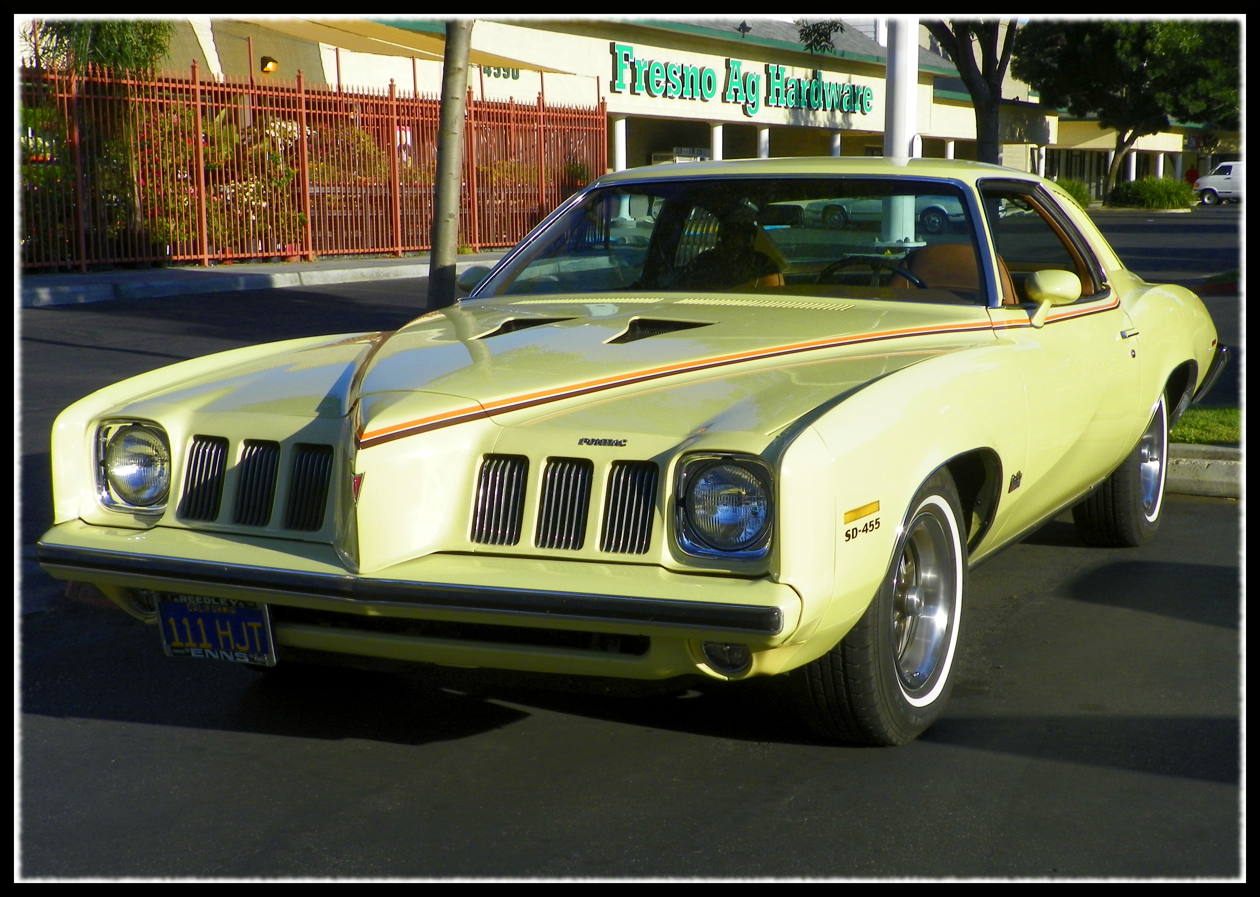 Pontiac Grand Am 1973 #11