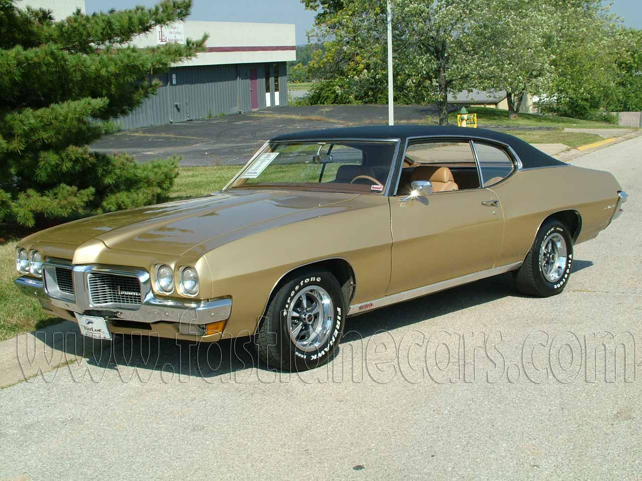 Pontiac LeMans 1970 #5