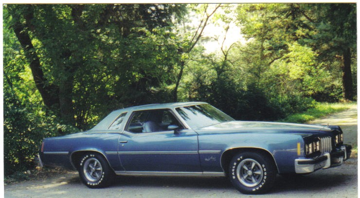 Pontiac Phoenix 1977 #14