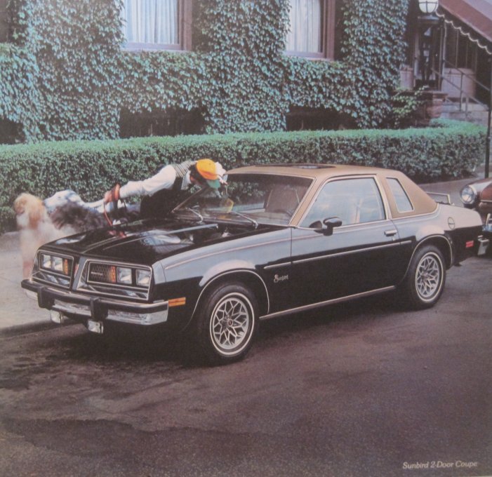 Pontiac Sunbird 1977 #3