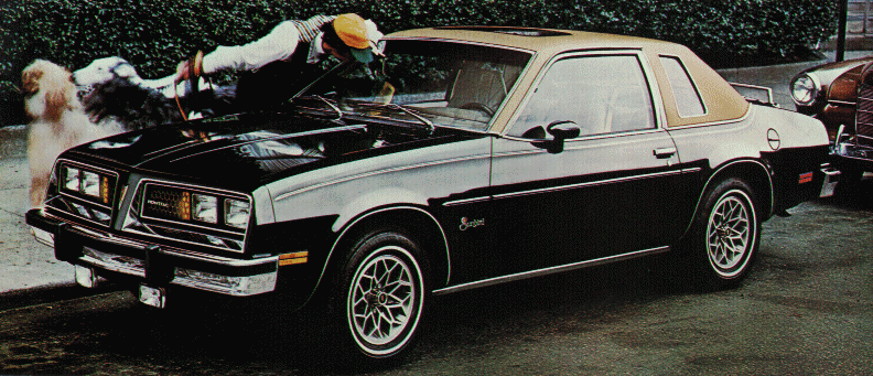 Pontiac Sunbird 1977 #7