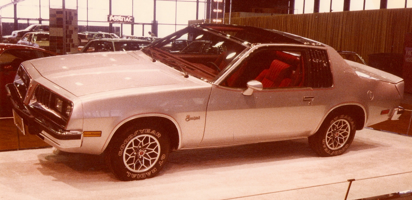 Pontiac Sunbird 1978 #3