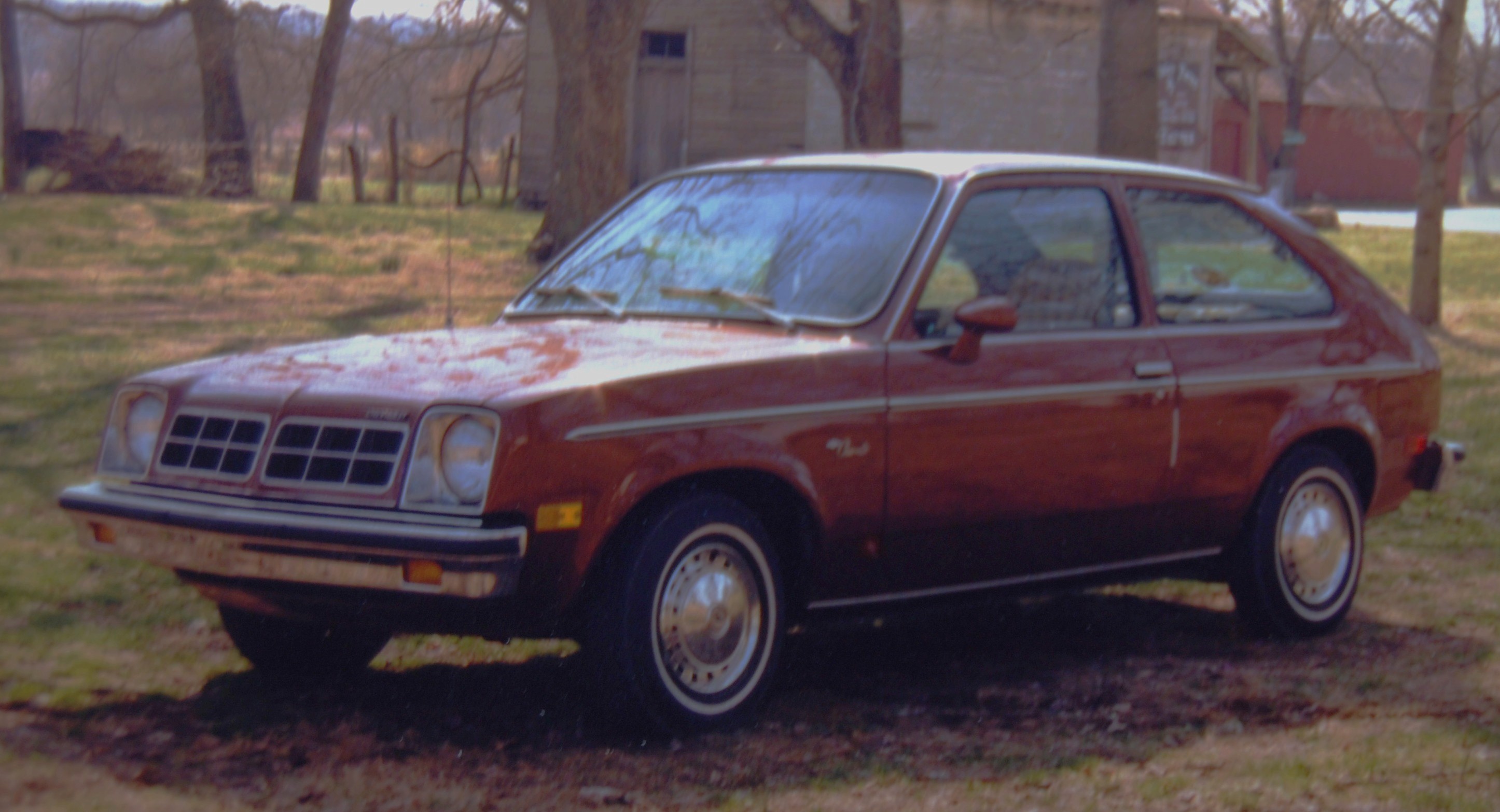 Pontiac T1000 1981 #3
