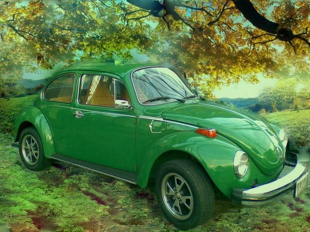 Volkswagen Beetle (Pre-1980) 1974 #6