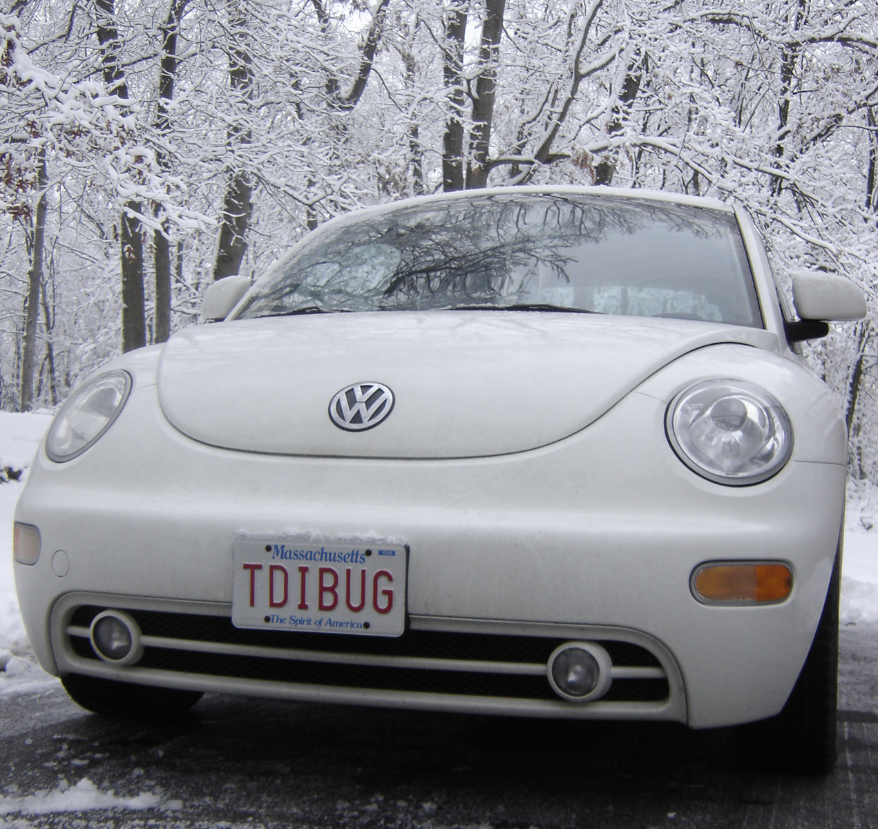 Volkswagen New Beetle 1998 #11