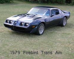 1979 Firebird #13