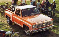 Chevrolet C10/K10 1976 #8