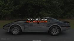 Chevrolet Corvette Indy 500 Pace Car Replica #36