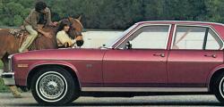 Chevrolet Panel 1975 #11