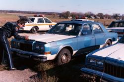 Dodge Diplomat 1983 #13