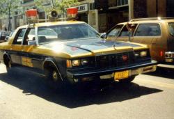 Dodge St Regis 1981 #13