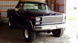 Ford F150 1980 #7