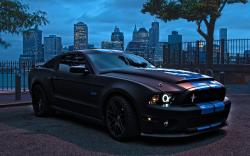 Ford Mustang #25