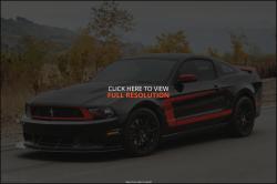 Ford Mustang Boss 302 #18