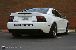 Ford Mustang SVT Cobra #32