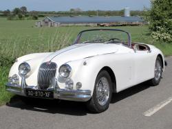 Jaguar 3.4 1958 #7