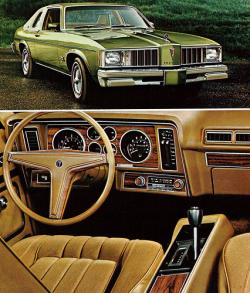 Pontiac Phoenix 1979 #8