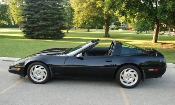 1995 Corvette #2
