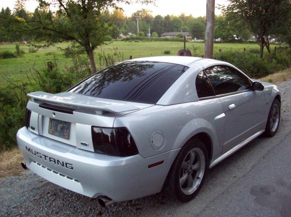 2003 Mustang #2